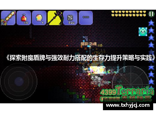 《探索附魔盾牌与强效耐力搭配的生存力提升策略与实践》